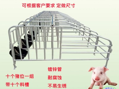 优质的母猪限位栏尺寸是多少母猪定位栏价格十头猪的限位栏报价