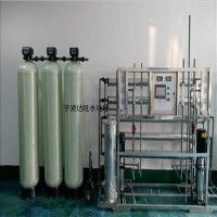 宁波达旺水处理设备，工厂用纯净水设备，反渗透去离子水设备