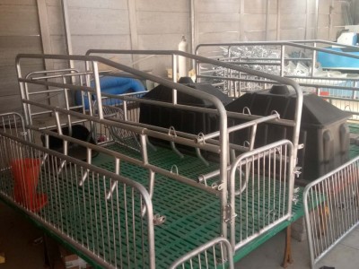 厂家直销 母猪产床 分娩床 复合双体母猪产床栏 养猪设备
