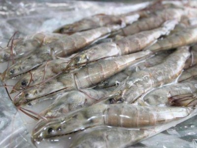 厄瓜多尔出产的白虾怎么运回国内