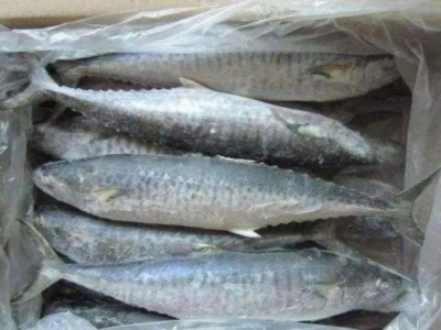 进口越南出产的巴沙鱼到国内流程