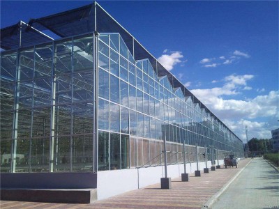 阳光板温室造价 pc阳光板温室价格  花卉大棚