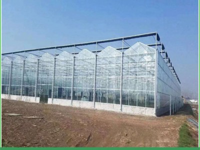 青州德源-文洛式花卉玻璃温室质量保证-简易花卉温室骨架建造