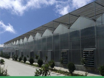 智能阳光板大棚设计-养殖外遮阳温室建设-青州德源