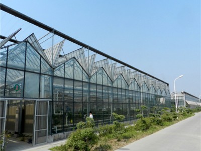 山东玻璃大棚建设 玻璃蔬菜温室制造