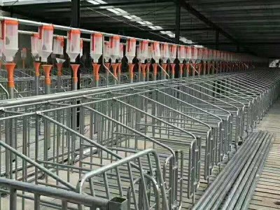 养猪场自动化上料线全自动喂料系统母猪自动料线养猪整套设备