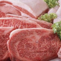 冷冻肉进口代理申报清关运输配送冷冻肉进口所需资质资料