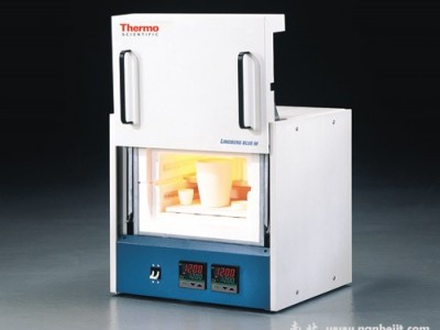 Thermo 1200℃ LGOTM 箱式炉