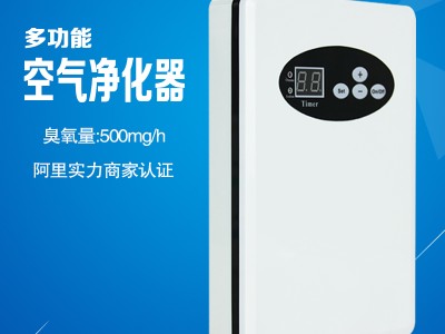 广州臭氧机特价出售活氧机104J2020新款，便携式臭氧机