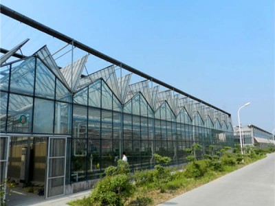 玻璃智能温室大棚推荐 山东玻璃智能温室大棚批发承建