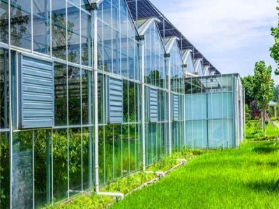 青州现货供应玻璃智能温室大棚可定制