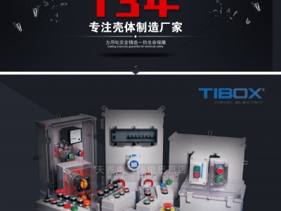 TIBOX天齐电气接线盒  小型防水盒户外配电箱 IP66