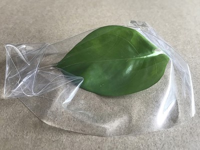 厂家直销食品级高透明硅胶片 玻璃样透硅胶布透明硅胶片