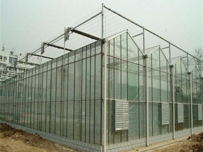 玻璃温室大棚造价 金坤玻璃大棚服务