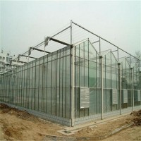 玻璃温室大棚造价 金坤玻璃大棚服务