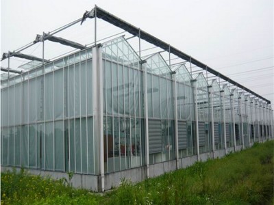 阳光板温室大棚工程 阳光板温室工程建造