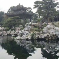 太湖石 温泉酒店池边造景 园林公园独石景观