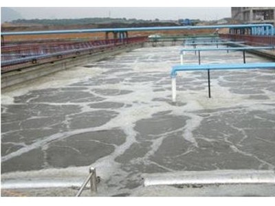 惠州养猪场废水处理设备 鸡场废水处理设备厂家