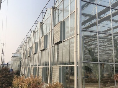 蔬菜生态智能温室技术水果生态智能温室大棚建设凌宇温室工程