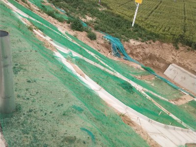 边坡防护三维植被网河道治理hdpe三维土工网