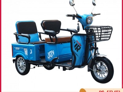 电动三轮车成人老年休闲代步车小型家用接送孩子电瓶车置宝宝座椅