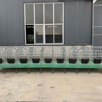 定制定位栏 养猪设备 定位栏厂家 吉牧专供