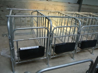 养猪用的限位栏 定制养殖设备