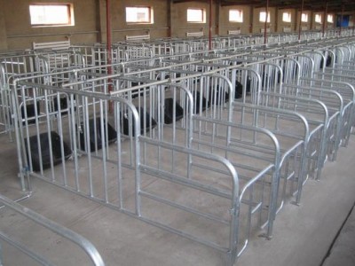 佛山哪里有卖猪厂用限位栏的佛山猪厂用限位栏厂家
