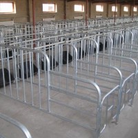 佛山哪里有卖猪厂用限位栏的佛山猪厂用限位栏厂家