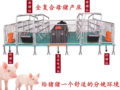 母猪塑料保温箱双体产床现货出售