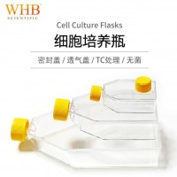 WHB-细胞培养瓶