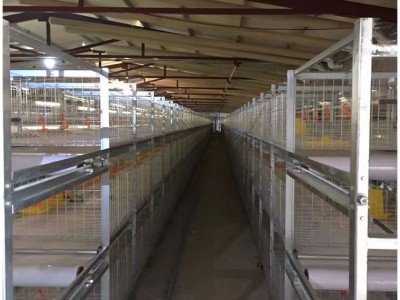 肉鸡养殖设备笼养设备层叠式鸡笼山东金石农牧机械