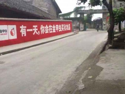 贵州毕节乡镇地区想要通过路边涂刷广告手绘大字开拓市场