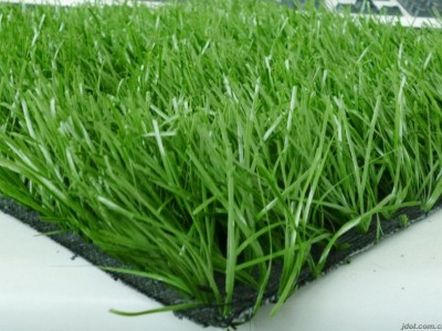 北京塑料草坪厂 仿真草坪供应价格