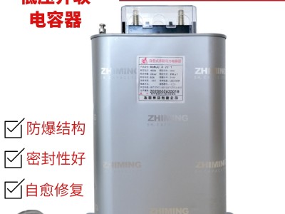 BSMJ0.45系列 单相自愈式并联低压电力电容器