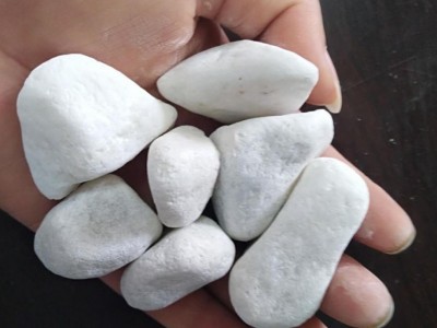 青岛白色鹅卵石 造景铺面用大卵石 填充白石子