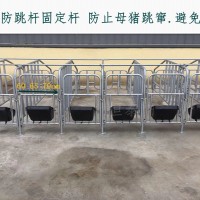 母猪限位栏  母猪用落地限位架生产厂家