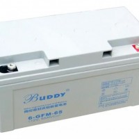 宝迪6-GFM-65铅酸蓄电池12V65AH价格