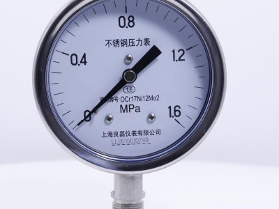 厂家供应Y60-BFZ-MF 径向不锈钢耐震压力表