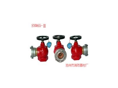 多功能水泵接合器 SQD100-1.6新型