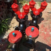 地下式水泵接合器     沧州铁狮消防    型号多规格全