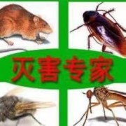 广东爱卫白蚁有害生物防治有限公司