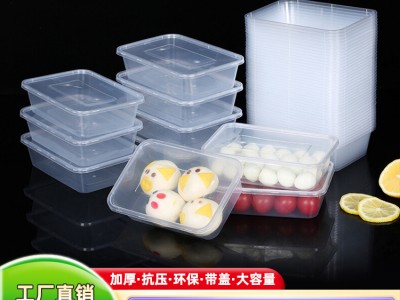 供应一次性打包盒长方形快餐盒 厂家定制透明饭盒带盖饭盒