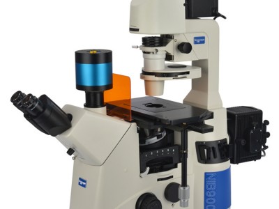 科研倒置荧光显微镜NIB910-FL珠海荧光显微镜解决方案