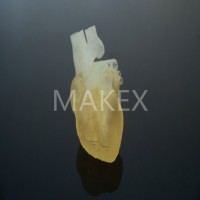 MakeX光固化DLP仿生超疏水功能表面3D打印机