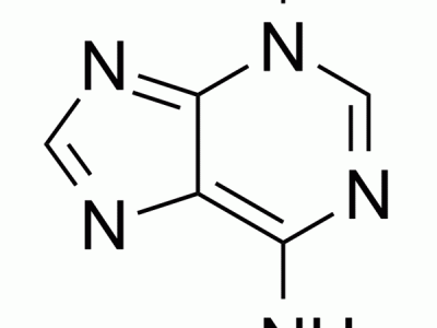 3-Methyladenine (3-甲基腺嘌呤）