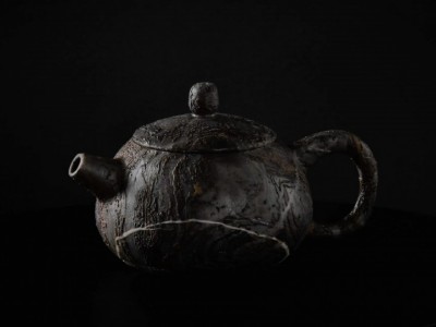 古羽石亿年植物化石古羽石水茶壶养生茶壶