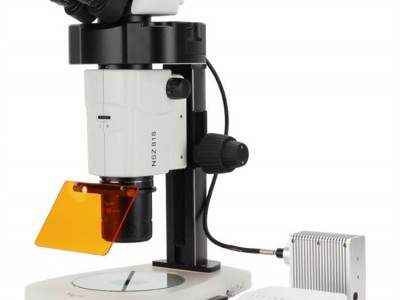 体视显微镜-国产体视荧光显微镜厂家-广西体视荧光显微镜定制