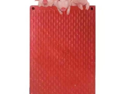 猪床电热板 小猪仔猪保温板 碳纤维电热板