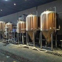 小型精酿啤酒设备 酿啤酒的设备厂家1吨啤酒设备